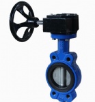 F7480 Marine worm gear semi-lug type butterfly valve