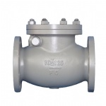 JIS F7373 10K Marine cast iron swing check valve