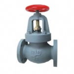 JIS F7375 10K Marine cast iron screw down non return globe valve